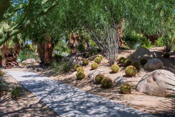 Location Landing | Palm Springs Art Museum